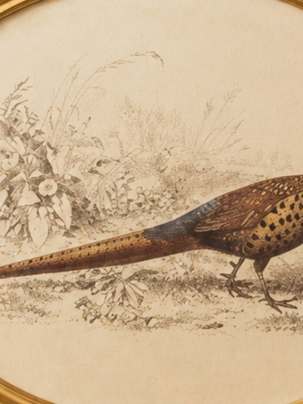 Vintage Oval Ornate Framed Pheasant Wall Art Print - Picture 5 of 8